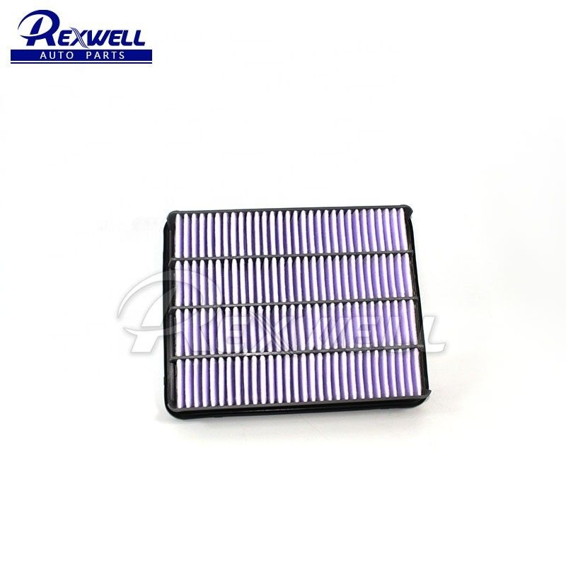 Directly Supply Toyota Land Cruiser 17801-52020 Air Filter with Westurn Union Payment