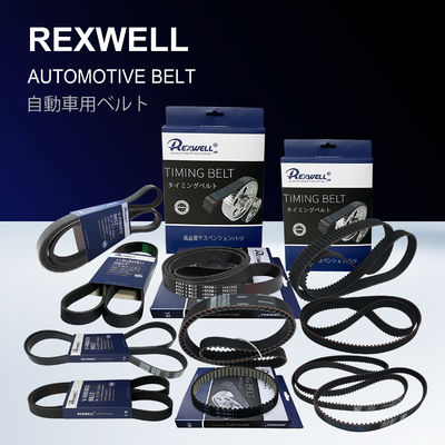 13562-0E010 Timing Chain Tensioner Slipper Timing Chain Guide For Toyota Hilux Hiace 1GD 2GD